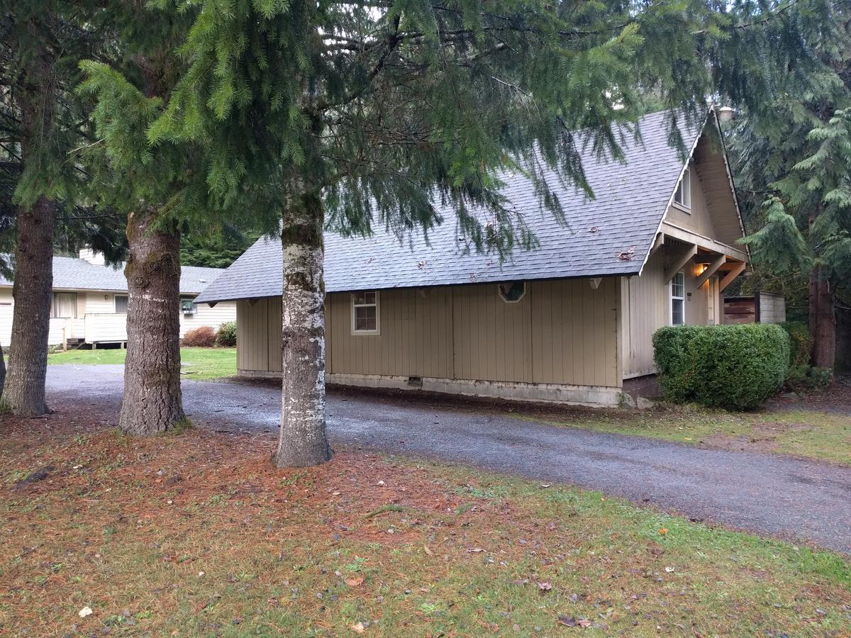 Chalet At Mt. Rainier Villa Ashford Eksteriør bilde